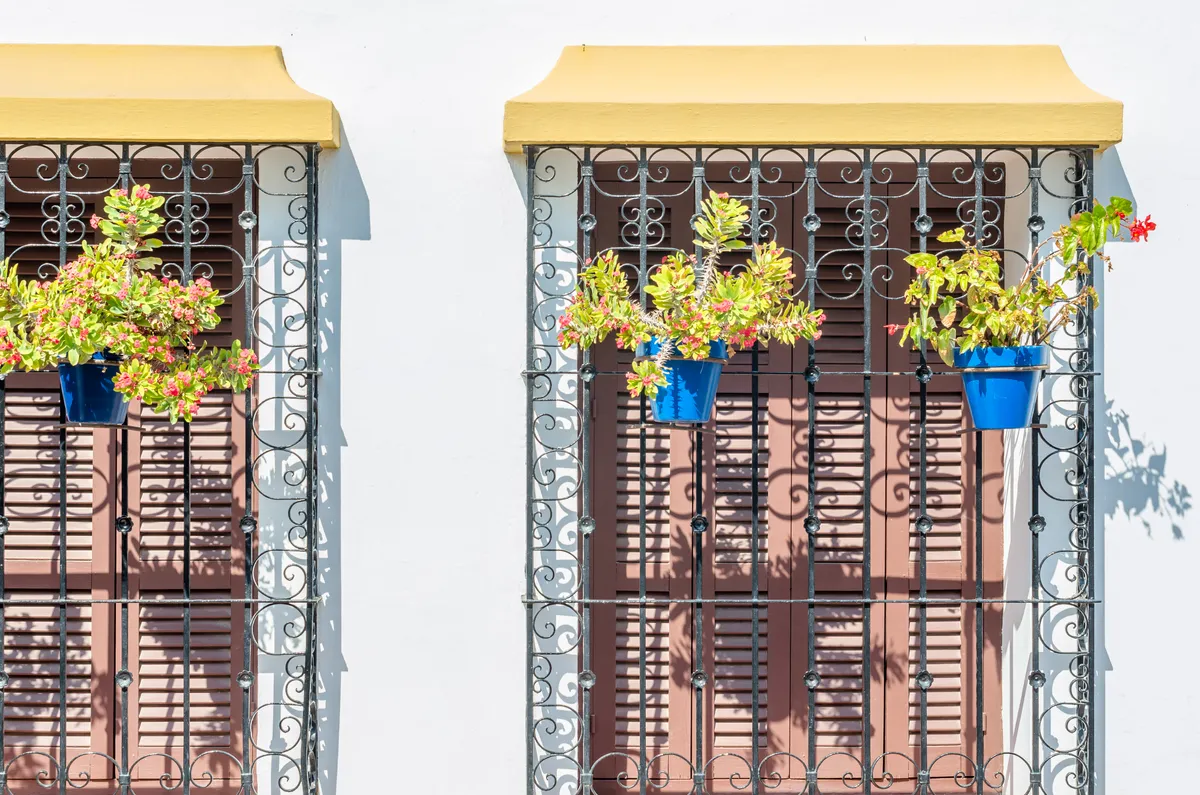 Jak zrobić pergolę na balkonie w bloku? Przepisy, projekt i instrukcja krok po kroku